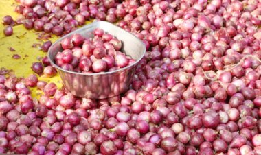 ভারতের পেঁয়াজ নিয়ে রাতেই আসবে ট্রেন