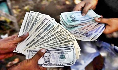 মার্চের ২৯ দিনে এলো ১৮১ কোটি ডলার রেমিট্যান্স