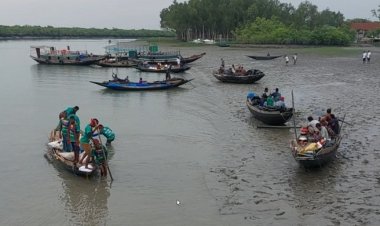 সুন্দরবনে মধু আহরণ শুরু আজ, লক্ষ্যমাত্রা ৫০০ কুইন্টাল