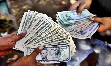 ১৯ দিনে ১৪ হাজার কো‌টি টাকার প্রবাসী আয়