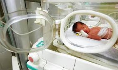 গাজায় নিহত মায়ের গর্ভ থেকে জীবিত শিশু উদ্ধার