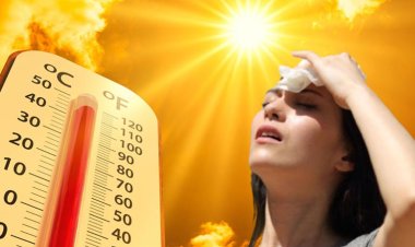 তাপমাত্রা কমার সুখবর নেই, তীব্র গরমে ঘরে-বাইরে সর্বত্র অস্বস্তি