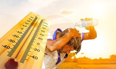 তাপপ্রবাহ কমবে কবে, জানালো আবহাওয়া অধিদপ্তর