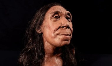 ৭৫ হাজার বছর আগের নারীর মুখাবয়ব প্রকাশ করলেন বিজ্ঞানীরা