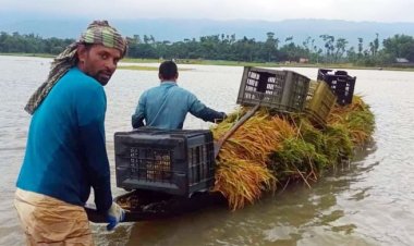 উজানের ঢলে সিলেটের নদনদীর পানি বাড়ছে