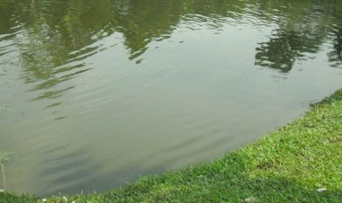 ময়মনসিংহে পুকুরে ডুবে দুই ভাইয়ের মৃত্যু