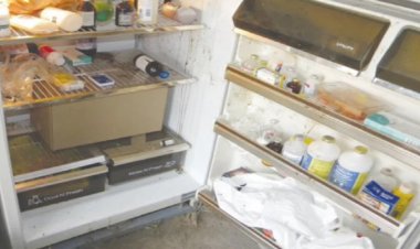 ফ্রিজে জুতার বাক্সে রাখা ছিল চার শিশুর মরদেহ