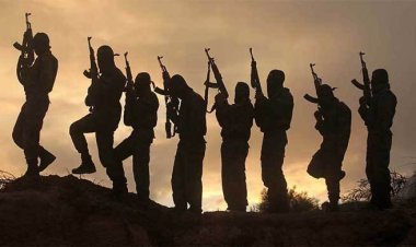  নাইজেরিয়ায় বন্দুকধারীদের হামলায় নিহত ২৫