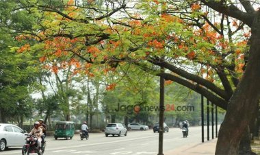  দিনের তাপমাত্রা আরও কমতে পারে