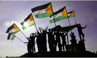 ২১ মে ফিলিস্তিনকে রাষ্ট্রের স্বীকৃতি দিতে পারে ইউরোপের চার দেশ