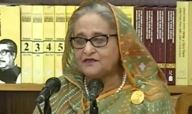  কিশোর গ্যাং দেখতে চান না প্রধানমন্ত্রী