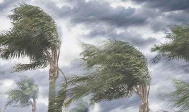 সন্ধ্যার মধ্যে ৩ বিভাগে ৬০ কিমি বেগে ঝড়ের আভাস