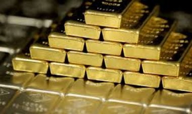 ৫৫ কেজি স্বর্ণ চুরি মামলার প্রতিবেদন ৩০ জুন