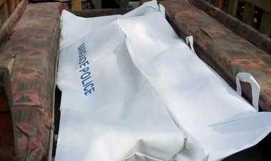  রাজধানীতে পিকআপ ভ্যানের ধাক্কায় নারী নিহত