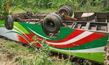  ভ্যান ওভারটেক করতে গিয়ে খালে উল্টে পড়লো বাস