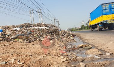 ময়লার ভাগাড় থেকে কোটিপতি ওসমান