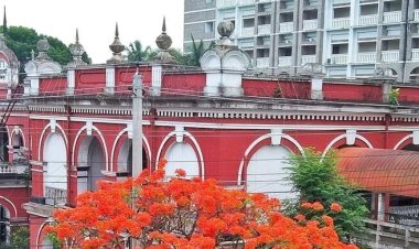 ফরিদপুরে ছেলে হত্যায় বাবা-সৎমায়ের যাবজ্জীবন