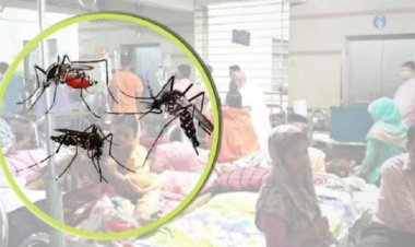 ডেঙ্গুর চোখ রাঙানো শুরু, একদিনে ৩ জনের মৃত্যু