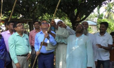 আজ থেকে বাজারে মিলবে চুয়াডাঙ্গার আম