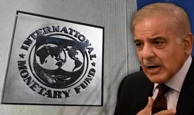 IMF-এর চালে ফেঁসে গেল পাকিস্তান! উপায় না পেয়ে সমস্ত সরকারি কোম্পানি বিক্রির পথে শরীফ