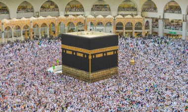 সৌদি পৌঁছেছেন ২৪ হাজার ২৩৬ জন হজযাত্রী