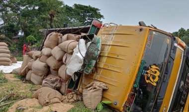 সাতক্ষীরায় ট্রাক উল্টে ২ শ্রমিক নিহত, আহত ১০