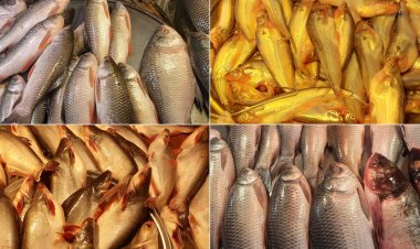 মাছের বাজারে স্বস্তির হাওয়া