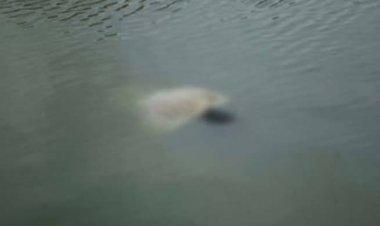  মহানন্দায় গোসলে নেমে কলেজছাত্রের মৃত্যু