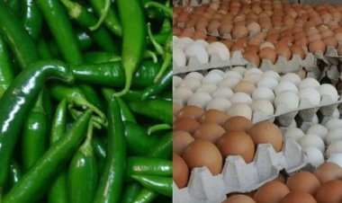 ডিম-কাঁচা মরিচের দাম লাগামহীন