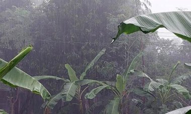  দুই দিনের মধ্যে সাগরে লঘুচাপ, বাড়তে পারে বৃষ্টি   