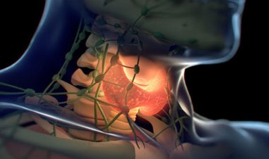 বিশ্ব থাইরয়েড দিবস আজ