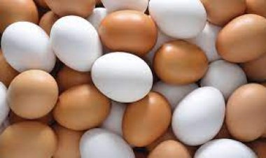 ডিমের বাজারে অস্থিরতা কাটেনি, করপোরেট ও আড়তদার সক্রিয়