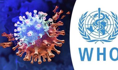 কোভিড মহামারী বিশ্বব্যাপী আয়ু প্রায় দুই বছর কমিয়ে দিয়েছে, দাবি হু-এর