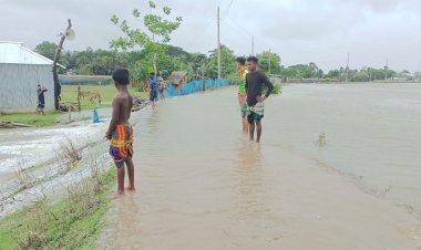 পটুয়াখালীতে বেড়িবাঁধ ভেঙে ২০ গ্রাম প্লাবিত
