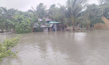 জোয়ারের পানিতে নিঝুমদ্বীপ প্লাবিত, ৫০ হাজার মানুষ পানিবন্দি