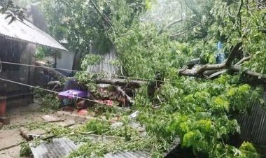 ভোলায় ঝড়ের সময় ঘরচাপা পড়ে এবার শিশুর মৃত্যু