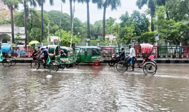 টানা বৃষ্টিতে নিউমার্কেটে হাঁটুপানি