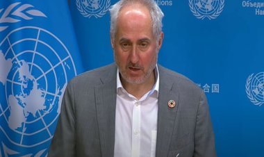 রোহিঙ্গাদের ভারত থেকে জোরপূর্বক বাংলাদেশে পাঠানোর অভিযোগ, যা বলল জাতিসংঘ