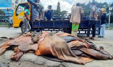 গাবতলী ব্রিজের উপরে চামড়ার বাজার বসানো যাবে না: তাজুল