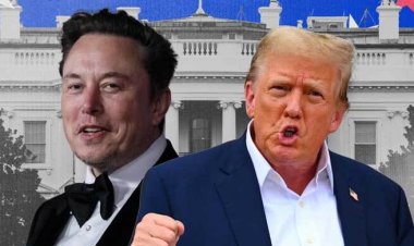  নির্বাচনে জিতলে ইলন মাস্ককে উপদেষ্টা করবেন ট্রাম্প: রিপোর্ট