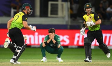 টি-টোয়েন্টি বিশ্বকাপের দুই ফাইনালিস্টের নাম জানালেন অস্ট্রেলিয়ান তারকা