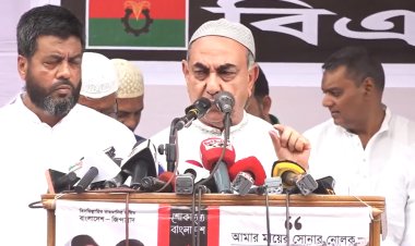 ক্ষমতায় এখন বর্গীরা: মির্জা আব্বাস