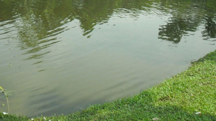 ময়মনসিংহে পুকুরে ডুবে দুই ভাইয়ের মৃত্যু