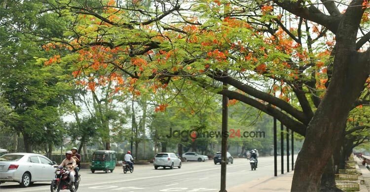 দিনের তাপমাত্রা আরও কমতে পারে