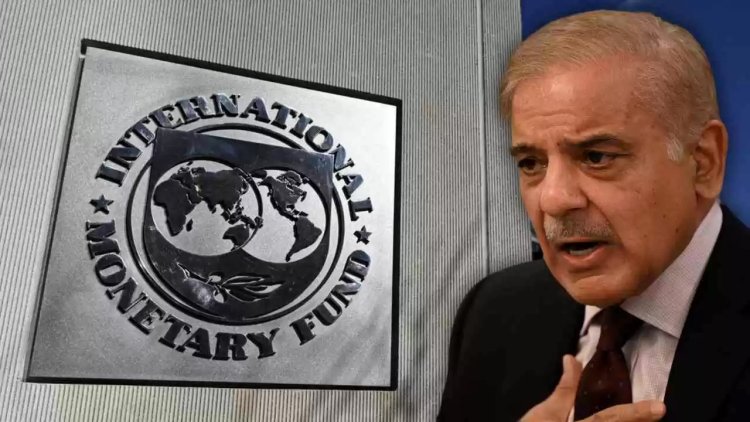 IMF-এর চালে ফেঁসে গেল পাকিস্তান! উপায় না পেয়ে সমস্ত সরকারি কোম্পানি বিক্রির পথে শরীফ