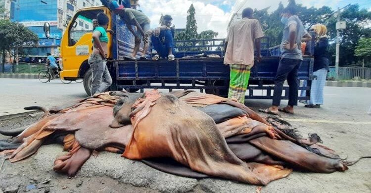 গাবতলী ব্রিজের উপরে চামড়ার বাজার বসানো যাবে না: তাজুল