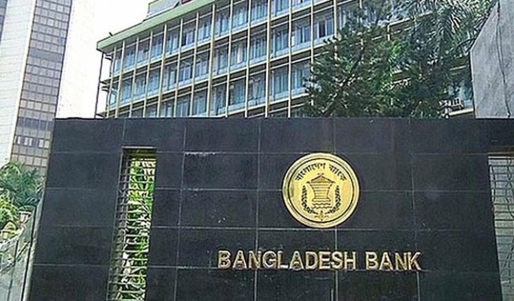 নিজস্ব কারখানায় তৈরি চামড়া পণ্য রপ্তানিতেও মিলবে নগদ সহায়তা