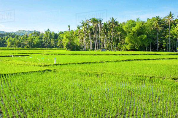 সরকারি সম্পত্তি উদ্ধারে ব্যস্ত আশুলিয়া রাজস্ব সার্কেলের সহকারী কমিশনার (ভূমি) ও নির্বাহী ম্যাজিস্ট্রেট