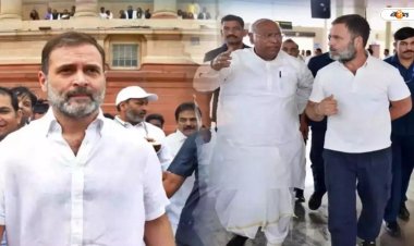 ‘ইন্ডিয়া’ জোটের প্রধানমন্ত্রী হিসেবে রাহুল গান্ধীকে পছন্দ খাড়গের