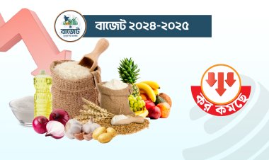 বাজেট ২০২৪-২০২৫ ভোক্তার স্বস্তি ফেরাতে নিত্য প্রয়োজনীয় ৩০ পণ্যে কমছে কর